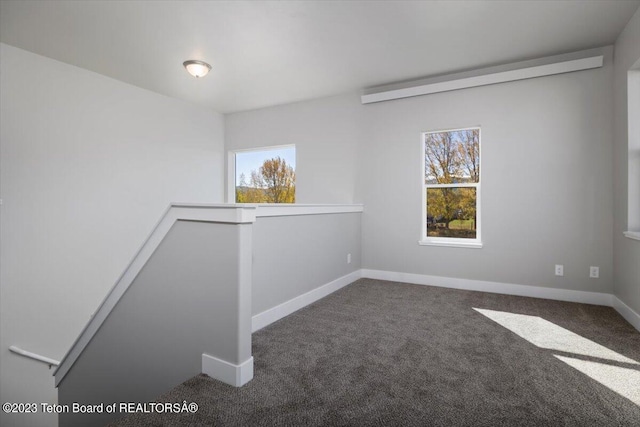 unfurnished room with carpet and a healthy amount of sunlight