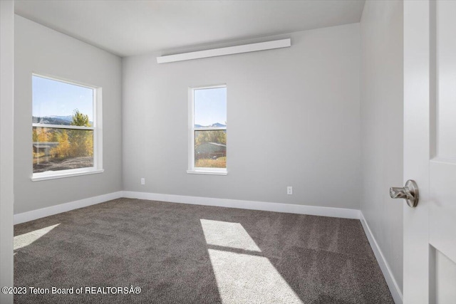 unfurnished room featuring carpet floors