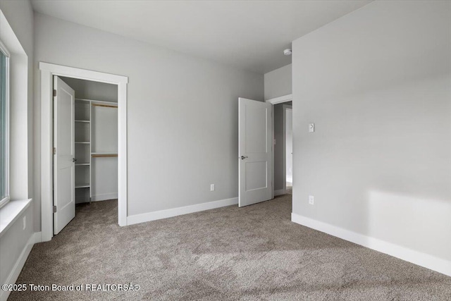 unfurnished bedroom with a walk in closet, carpet flooring, and a closet