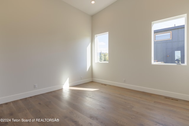 spare room featuring high vaulted ceiling and wood-type flooring