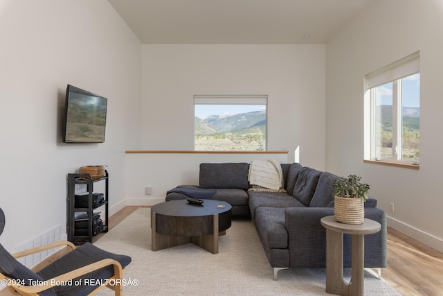 living room featuring light hardwood / wood-style floors