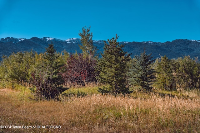 6688L30 Fox Meadows Dr, Victor, ID 83455 - photo 7