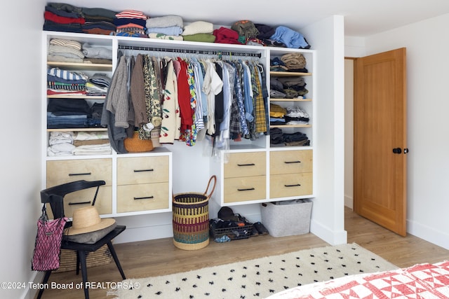 view of closet