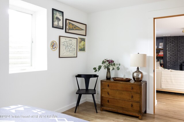 bedroom featuring light hardwood / wood-style floors and multiple windows