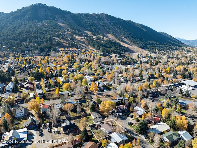 birds eye view of property featuring a mountain view