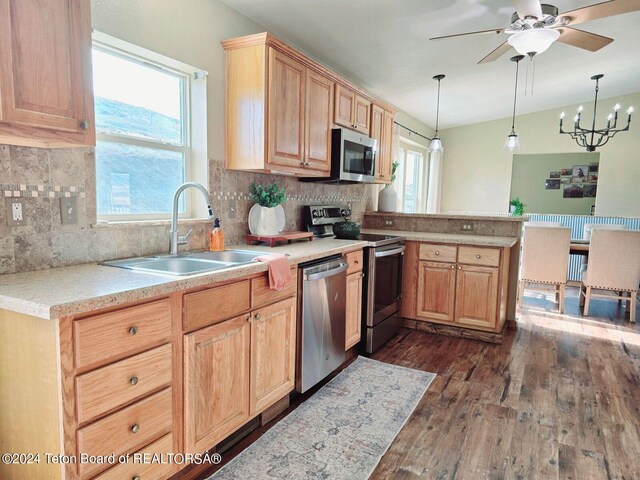 kitchen with stainless steel appliances, dark hardwood / wood-style floors, plenty of natural light, and sink