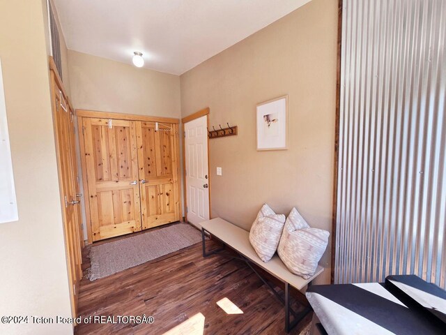 entryway with dark hardwood / wood-style flooring