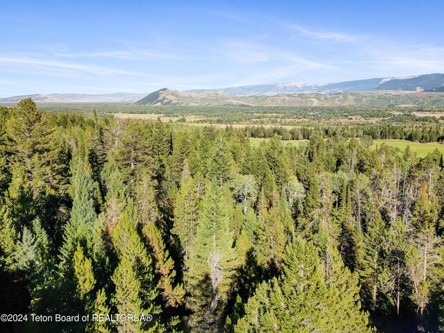 6255 W US Highway 22, Wilson, WY 83014 - photo 12
