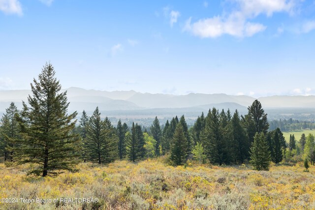 6255 W US Highway 22, Wilson, WY 83014 - photo 16