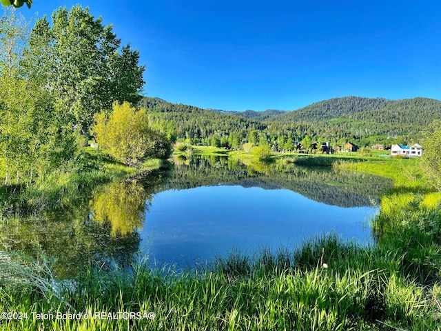 property view of water featuring a mountain view