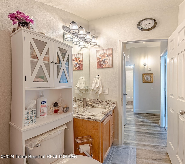 bathroom with vanity, hardwood / wood-style flooring, and toilet