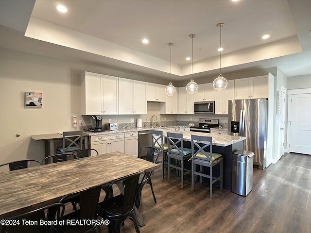 kitchen featuring hanging light fixtures, dark hardwood / wood-style floors, stainless steel appliances, and white cabinets