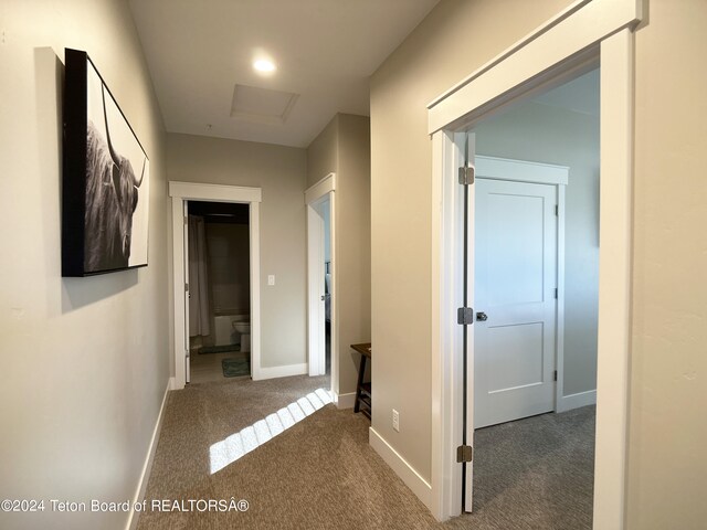 123 Creekside Ln, Swan Valley, ID 83449 - hall featuring carpet, attic access, and baseboards