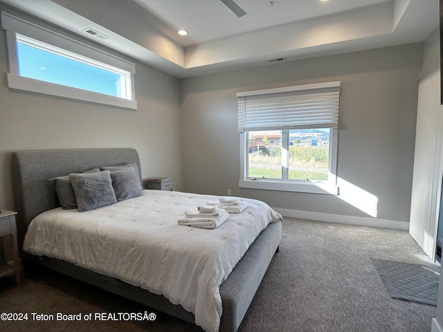 carpeted bedroom featuring multiple windows and a raised ceiling