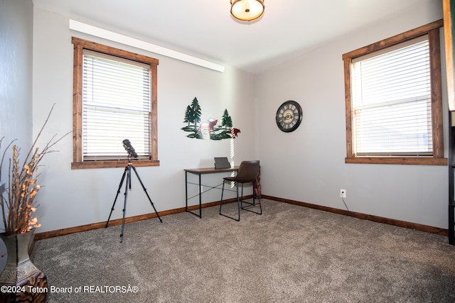 miscellaneous room with carpet