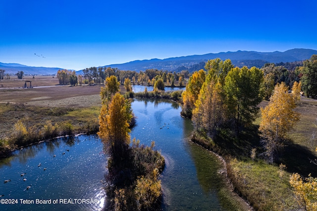 TBD Cottonwood Rd, Swan Valley ID, 83449 land for sale