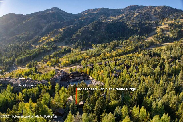 7592 Obsidian Rd, Teton Village, WY 83025 - photo 7