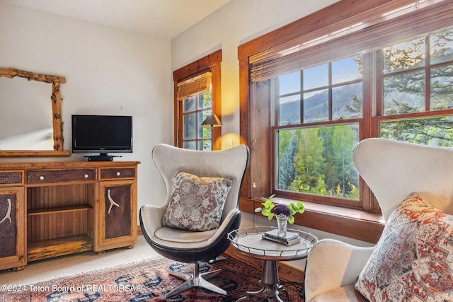 7592 Obsidian Rd, Teton Village, WY 83025 - photo 29