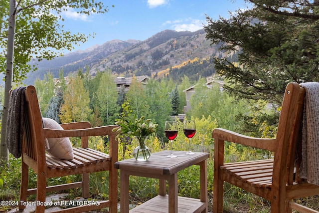 7592 Obsidian Rd, Teton Village, WY 83025 - photo 33