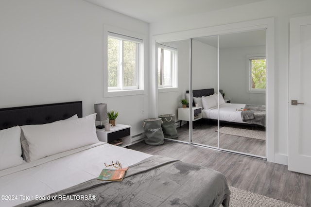 bedroom with a baseboard radiator, a closet, hardwood / wood-style flooring, and multiple windows