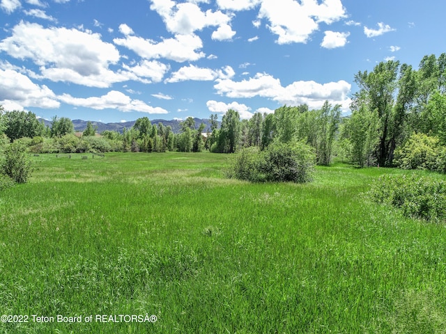 view of landscape featuring a rural view