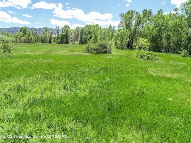 view of local wilderness featuring a mountain view