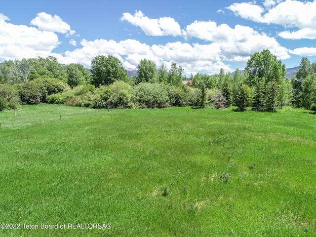 view of nature