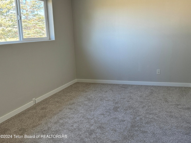 unfurnished room with carpet flooring