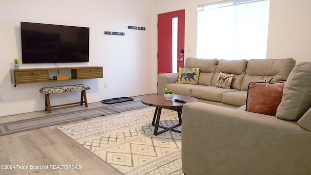 living room with light hardwood / wood-style flooring