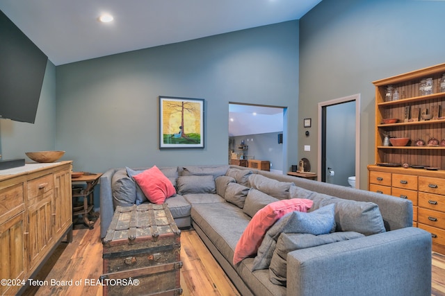 living room with light hardwood / wood-style floors and vaulted ceiling