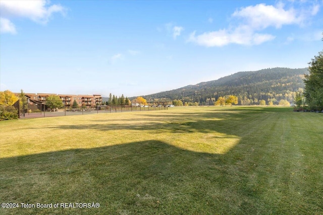 view of yard with a mountain view