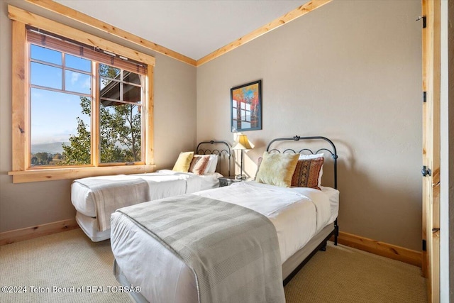 carpeted bedroom featuring crown molding and baseboards