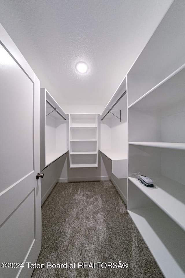 spacious closet with dark colored carpet