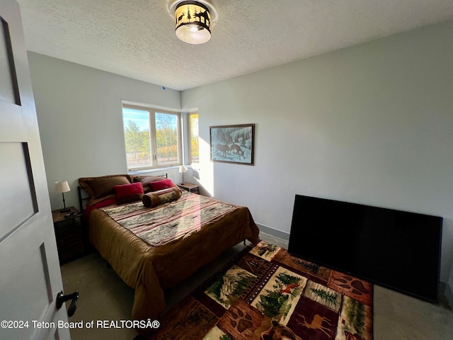 bedroom featuring a textured ceiling