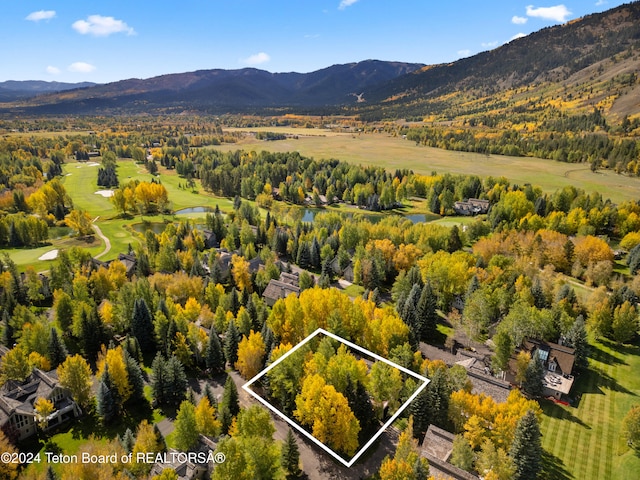 drone / aerial view featuring a mountain view