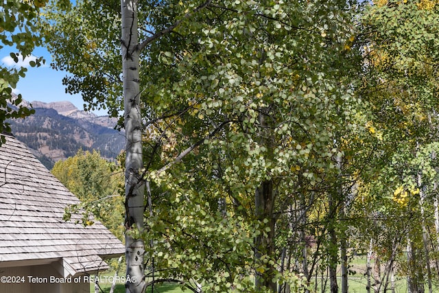 property view of mountains