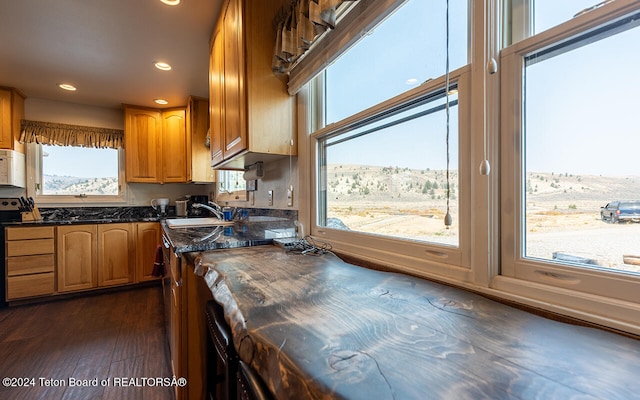 kitchen featuring butcher block counters, a wealth of natural light, and dark wood-type flooring