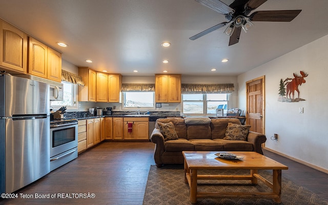 kitchen with ceiling fan, sink, stainless steel appliances, and dark wood-type flooring