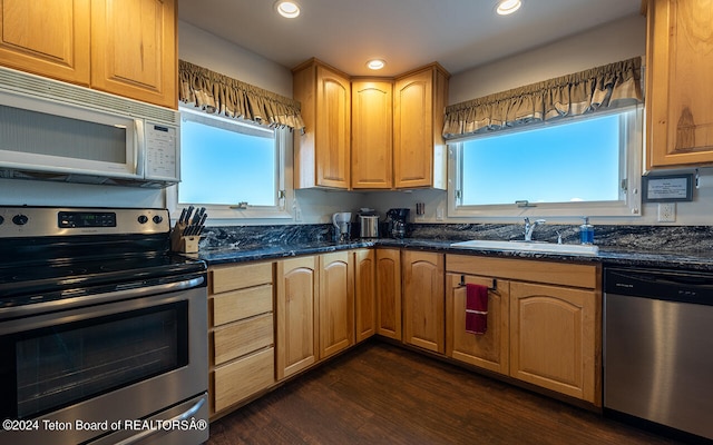 kitchen featuring a healthy amount of sunlight, dark stone counters, stainless steel appliances, and dark hardwood / wood-style flooring