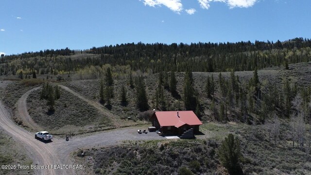 31 Stucki Weg Dr, Dubois, WY 82513 - photo 29
