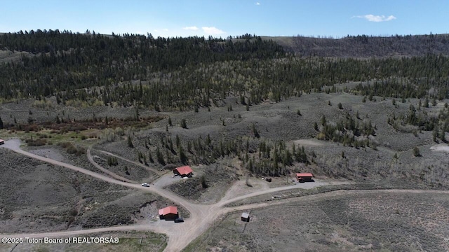 31 Stucki Weg Dr, Dubois, WY 82513 - photo 35