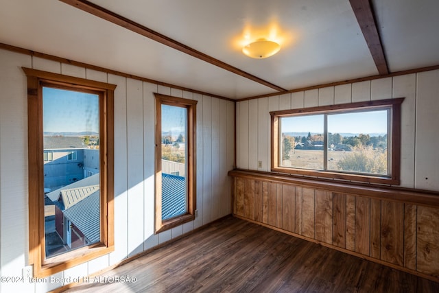 spare room with dark wood-type flooring, a healthy amount of sunlight, and wooden walls