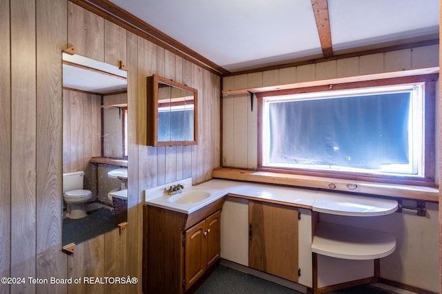 bathroom with vanity, toilet, and wood walls