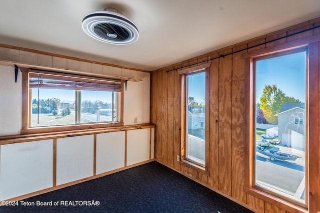 interior space with wooden walls