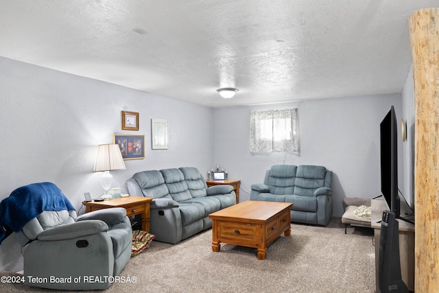 carpeted living room with a textured ceiling