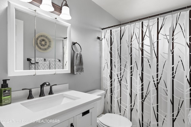 bathroom featuring vanity, toilet, and a shower with shower curtain