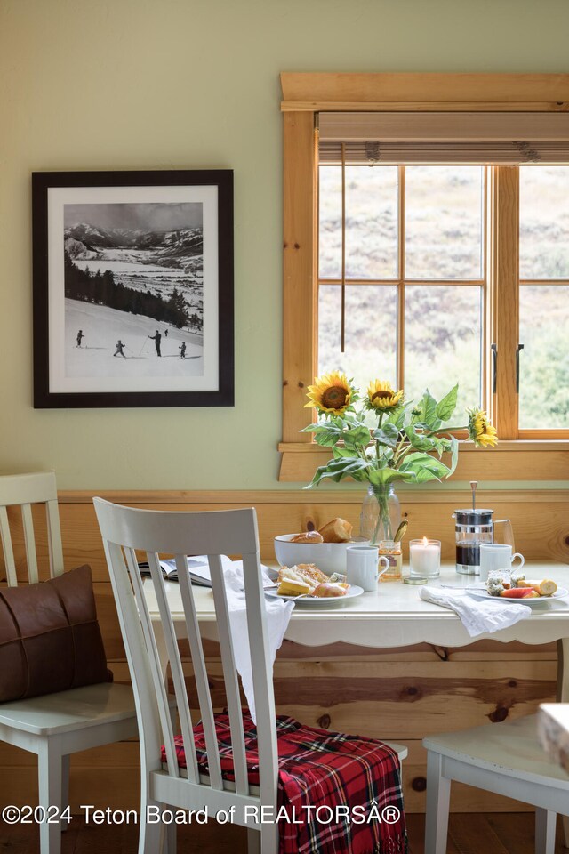 dining area featuring a healthy amount of sunlight