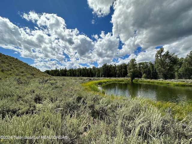 8625 Porter Loop, Jackson WY, 83001 land for sale