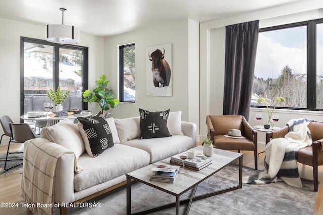 living room with light hardwood / wood-style flooring