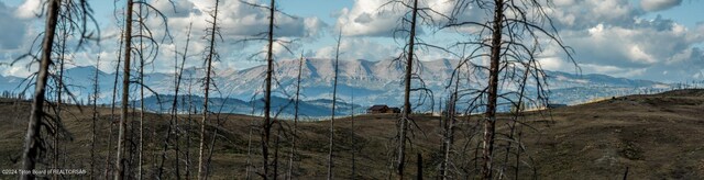 TRACT17 Fisherman Creek Rd, Bondurant, WY 82922 - photo 19